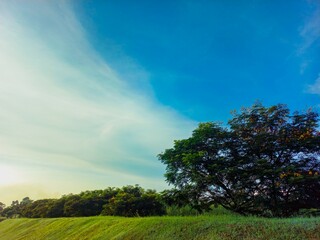 Obraz premium A peaceful natural setting with a lush green hill in the foreground and tall, leafy trees in the background. The clear blue sky with soft white clouds, giving the image a calm and refreshing ambiance.