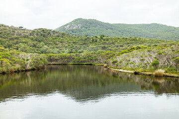 Serene River Reflecting Lush Green Hills, Tidal River, Wildons Prom, Australia