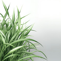 Fototapeta premium Lush green grass blades on a soft gradient background