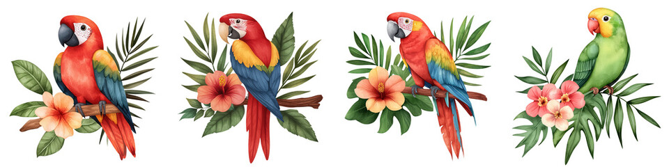 Tropical bird, flower, watercolor clipart, decor, set. Colorful parrots perched on tropical branches with vibrant flowers.