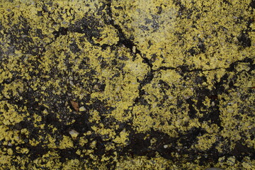 painted cracked asphalt