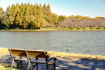 Fototapeta premium 公園の水辺にあるベンチ