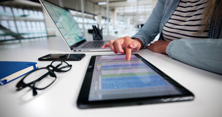 Electronic Spreadsheet Analyst Or Auditor Using Software