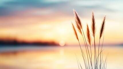 Serene Wetland at Twilight with Reflections of Natural Beauty, Showcasing Delicate Grasses Against a Peaceful Water Surface in Soft Colors