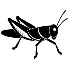 grasshopper isolated on white background