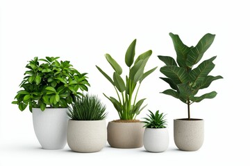 Fototapeta premium Five potted plants, various types, in modern pots.