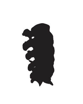 recommend clip art: Silhouette Anatomy of normal human Disc. Illustration of Medical diagram about the spine in top view for check disc herniation. nucleus pulposus, annulus fibrosis.