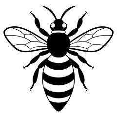 bee silhouette vector illustration line art transparent background