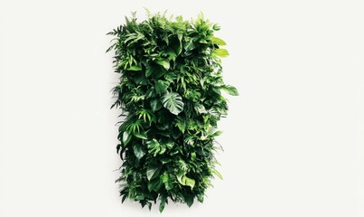 Fototapeta premium Lush vertical garden, various green plants.