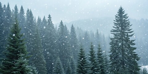 Obraz premium Dense snow-covered forest with tall evergreen trees and soft white snowflakes gently falling around them, frozen landscape, frosty morning, frosty trees, snowfall