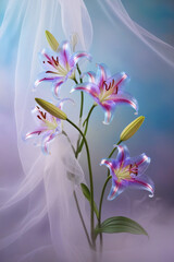 Fototapeta premium beautiful light spectrum lily flowers, flower pattern, lily flower background, created by Generative AI