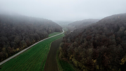 Bavaria. Germany. Autumn. Fog.