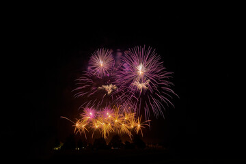 Fireworks explode in the night sky, illuminating the darkness with bright pink and golden sparks, creating a stunning visual celebration of New Year festivities.