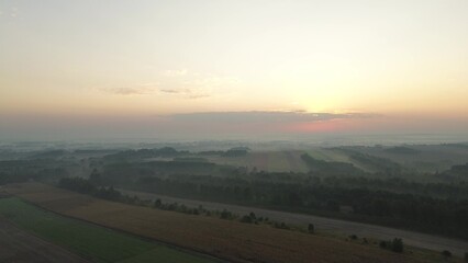 Sunlit misty forest during early morning hours