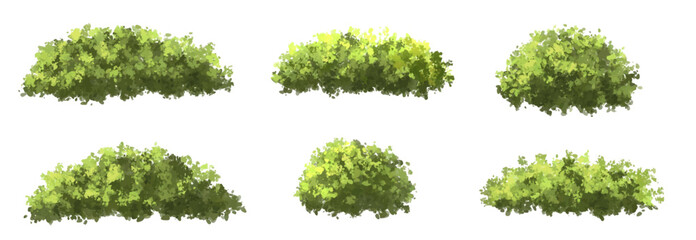 set of grass, Vector of green tree side view isolated on white background ,watercolor tree elevation for landscape concept,environment scene,eco design, garden for spring