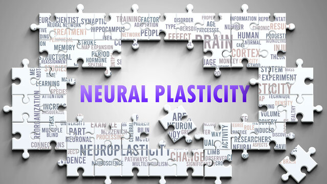 Neural Plasticity as a complex subject, related to important topics. Pictured as a puzzle and a word cloud made of most important ideas and phrases related to neural plasticity. ,3d illustration
