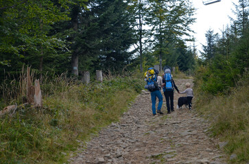 Obraz premium tourists family with dog on the trail from Korbielów to Pilsko in the Beskid Mountains