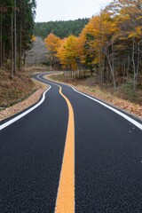 Fototapeta premium A winding road through a picturesque autumn landscape, framed by vibrant fall foliage and tall trees in a serene setting.