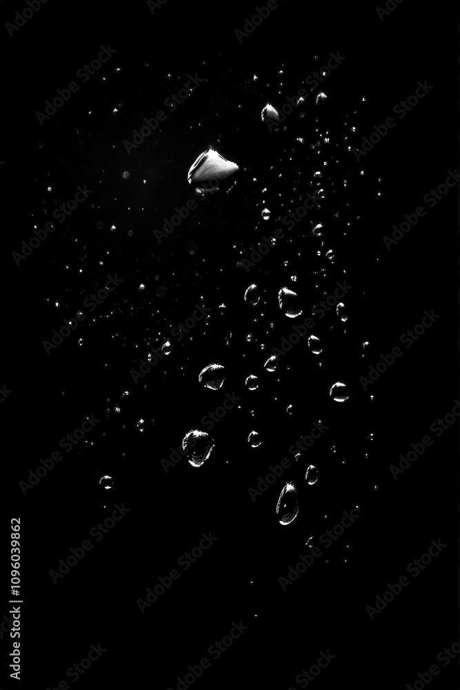 Poster abstract black and white image of water droplets falling on a dark background, creating a visually s