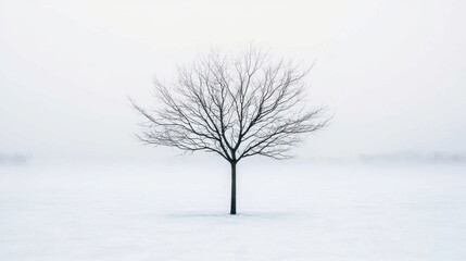 Fototapeta premium Singele bare tree in a winterlandscape