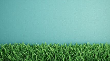 Fresh green grass on the bottom with a plain textured blue background
