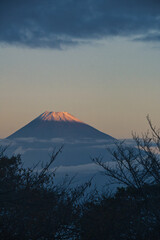 だるま山高原から見た富士山