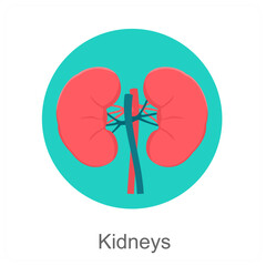 Kidneys