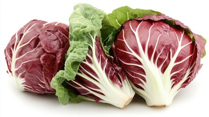 Fototapeta premium Fresh Radicchio Heads with Vibrant Green Leaves on White Background