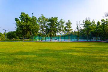 Green meadow grass in city public park building background sun light