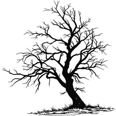  Lonely Dead Tree with Sparse, Jagged Limb