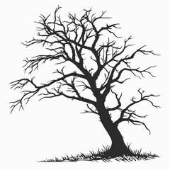  Lonely Dead Tree with Sparse, Jagged Limb