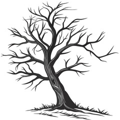  Spindly Dead Tree with Shadowed Silhouette