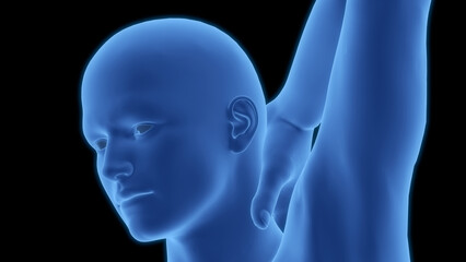 Obraz premium Human Suffering with Severe Back Pain Anatomy