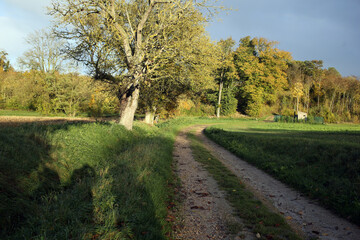 Countryside around Osmoy - Ile-de-France region - Yvelines - France