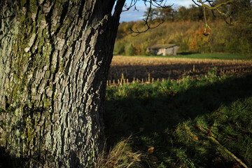 Countryside around Osmoy - Ile-de-France region - Yvelines - France