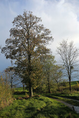Countryside around Osmoy - Ile-de-France region - Yvelines - France