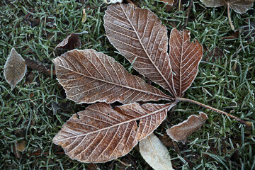 Scone palace - Category A listed historic house at Scone - Scone - Perthshire - Scotland - UK