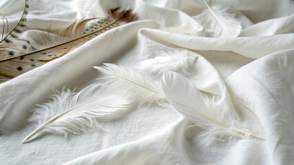 White feathers delicately arranged on a soft white linen fabric, cozy scene, white feathers, relaxed atmosphere