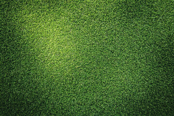 Grass field background, green grass, green background