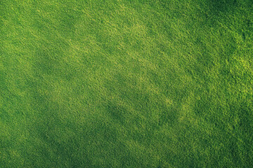 Grass field background, green grass, green background