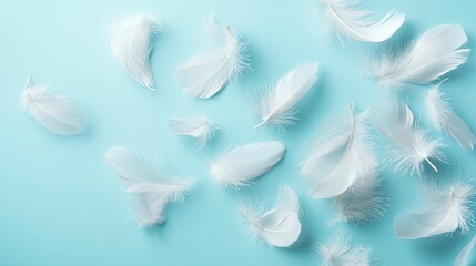 White Feathers Falling on a Light Blue Background