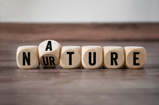 Cubes, dice or blocks with nature and nurture on wooden background