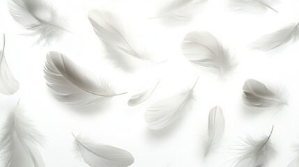 Obraz premium Soft White Feathers Float Gently on a White Background, Creating a Serene and Airy Atmosphere.