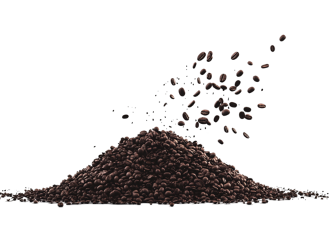 a pile of coffee beans