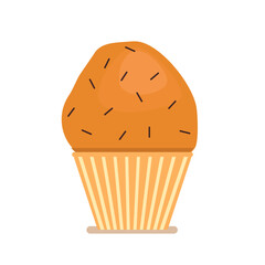 baked cupcake with chocolate pieces