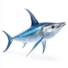 Naklejka premium Marlin Isolated