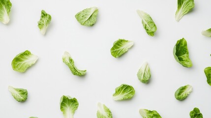 Fresh leafy greens scattered on a bright white background, displaying the vibrant colors and textures of crisp leaf lettuce.
