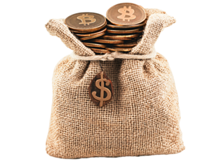 a bag of coins with a dollar sign