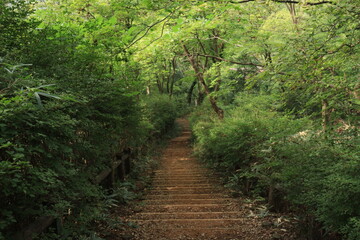 多峯主山（とうのすやま）
