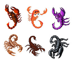 Scorpion Illustration